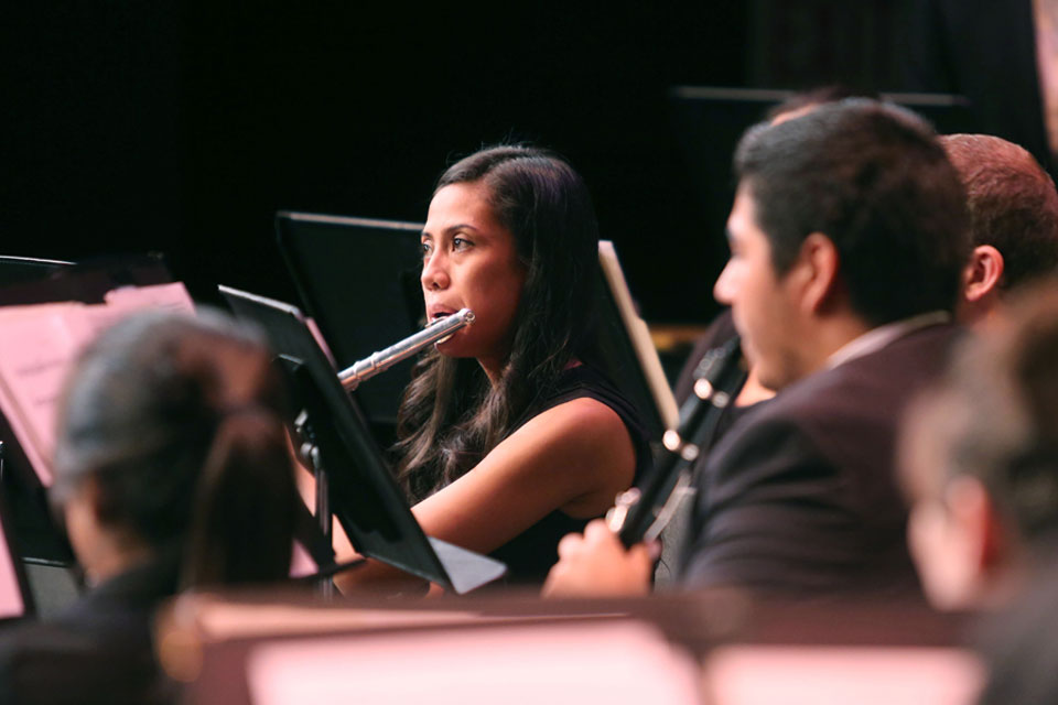 Students perform with their musical instruments live in concert.