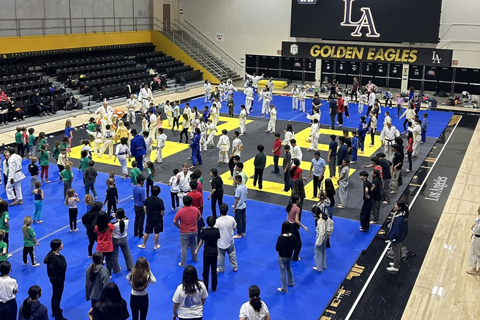 A gymnasium full of young people practicing judo.
